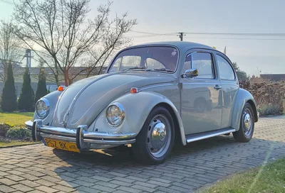 VW garbus