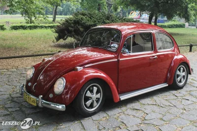 Vw 1300