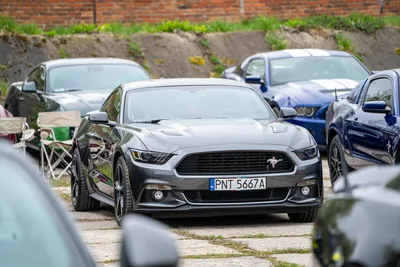 Ford Mustang GT California Special