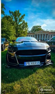 Mustang  6